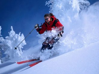 Горные лыжи