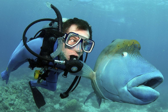 фото недели